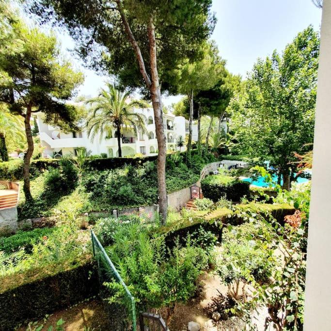 La Petunia Apartament *